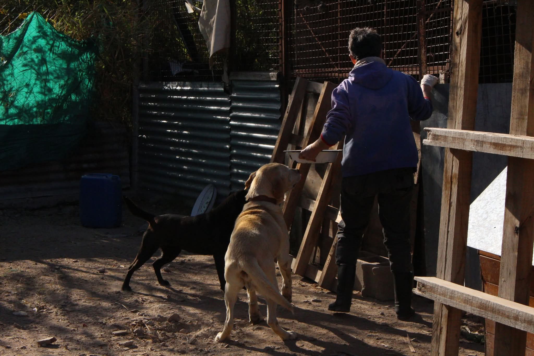 Garrito de Fundación GARRA